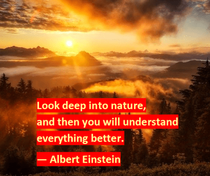 Albert-Einstein-on-Nature