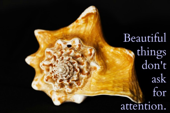 shell-1680755_960_720